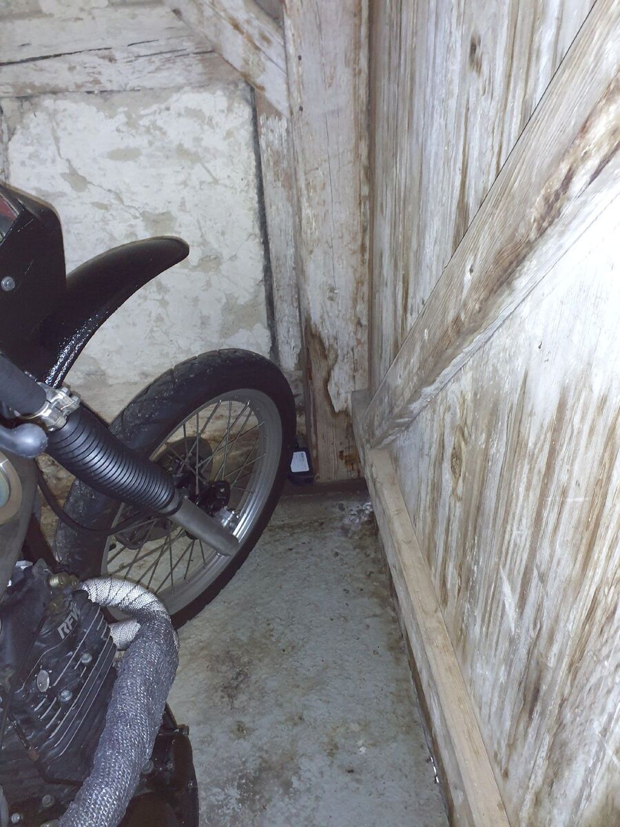 anti nuisibles a-Tentlingen-Beratung.jpg