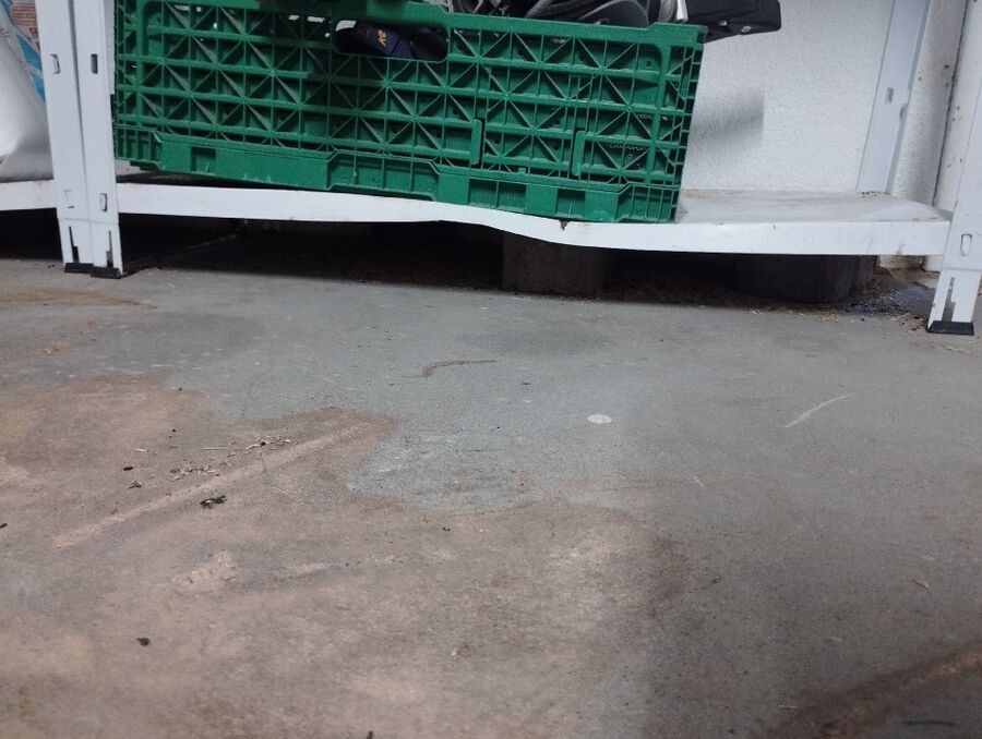 anti nuisibles a-Valeyres-sous-Ursins-Beratung.jpg