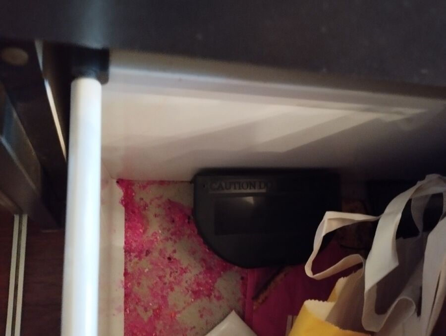 anti nuisibles a-Jussy-Beratung.jpg