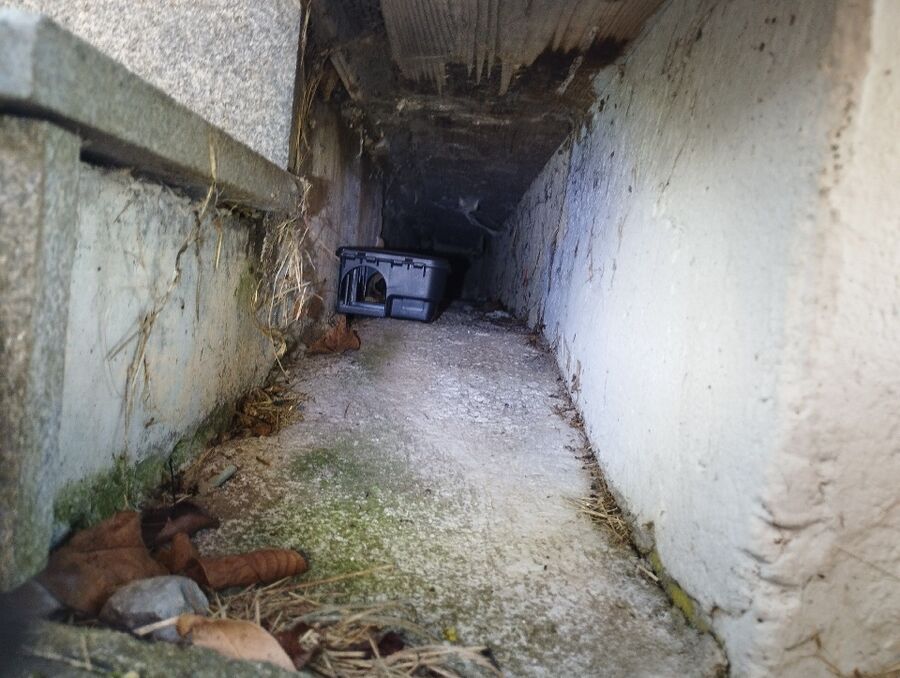 anti nuisibles a-Ursy-Beratung.jpg