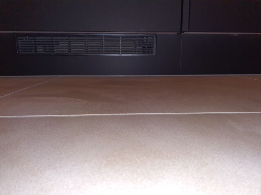 anti nuisibles a-Vich-Beratung.jpg