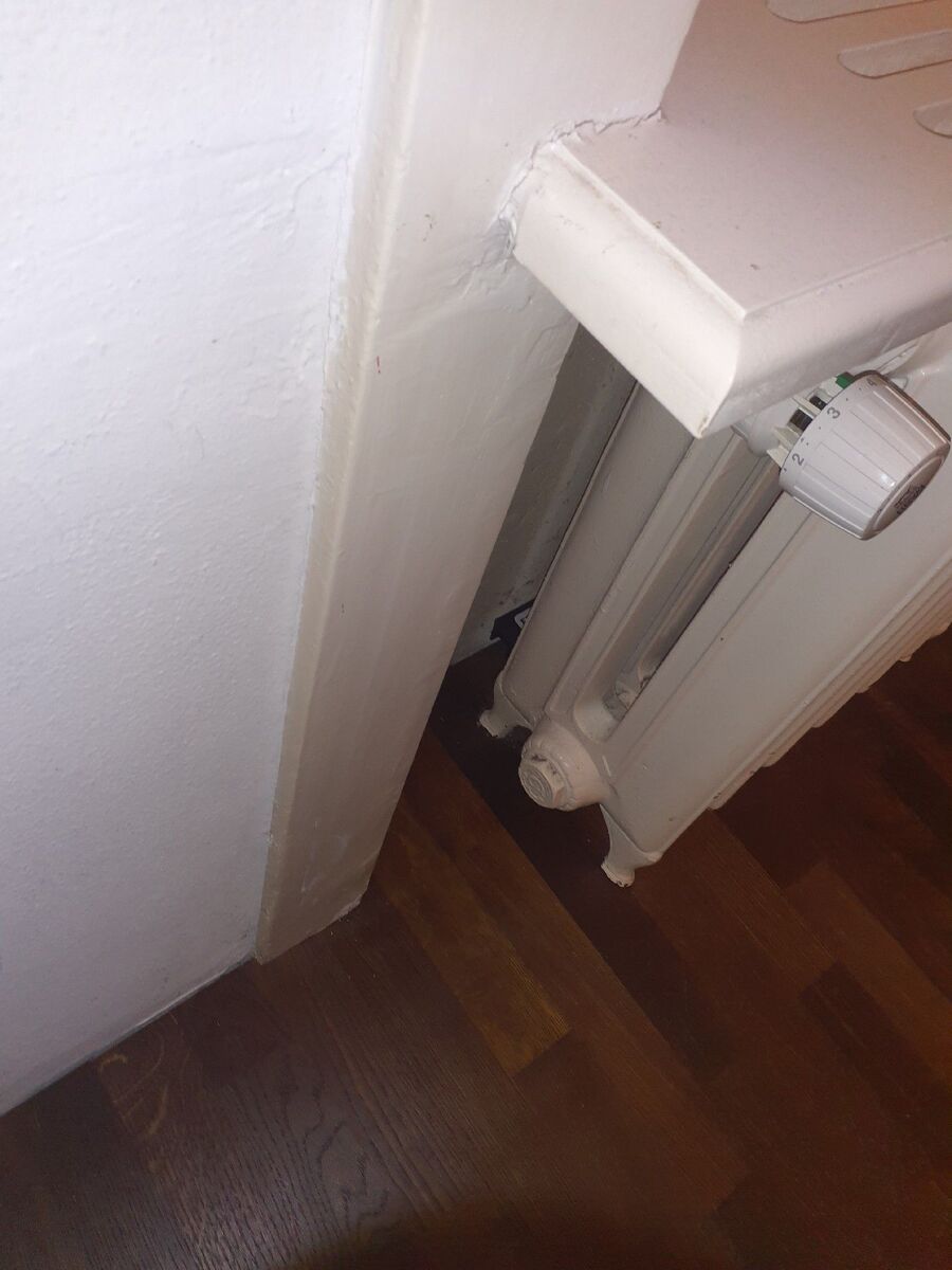 anti nuisibles a-Villarsel-sur-Marly-Beratung.jpg