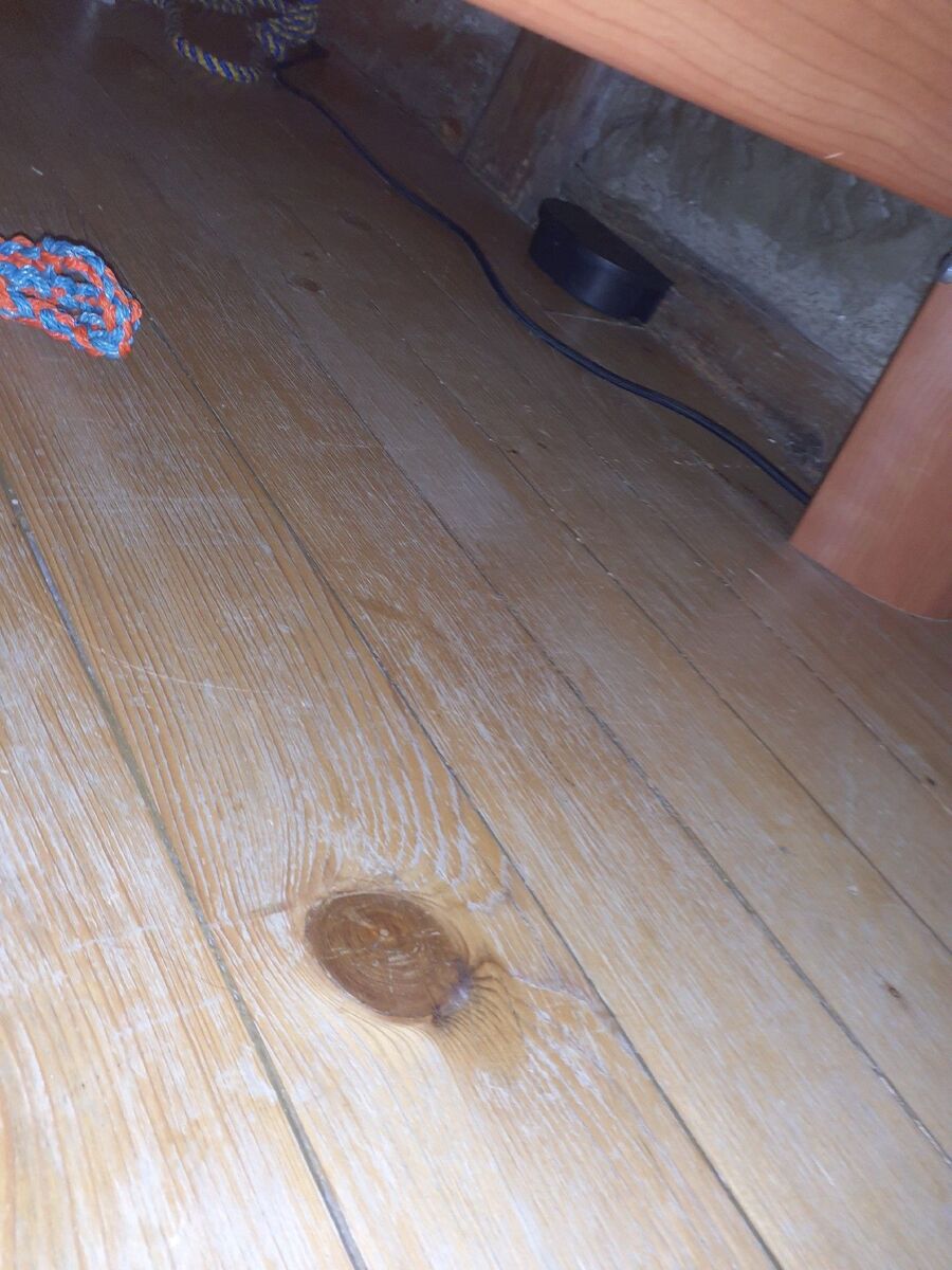 anti nuisibles a-Villars-sur-Glâne-Beratung.jpg