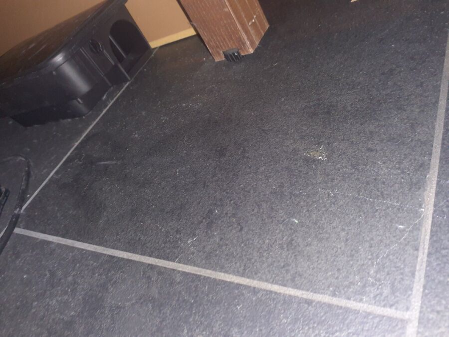 anti nuisibles a-Villorsonnens-Beratung.jpg