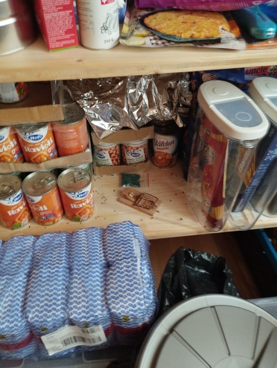 anti nuisibles a-Villars-sous-Yens-Beratung.jpg