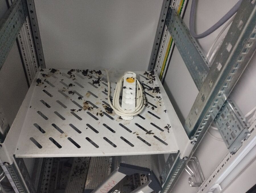 anti nuisibles a-Vuisternens-devant-Romont-Beratung.jpg