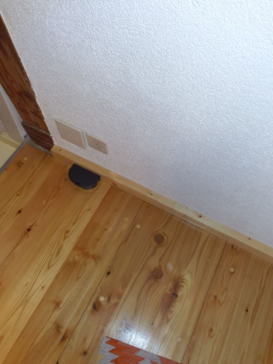 anti nuisibles a-Villeneuve (VD)-Beratung.jpg