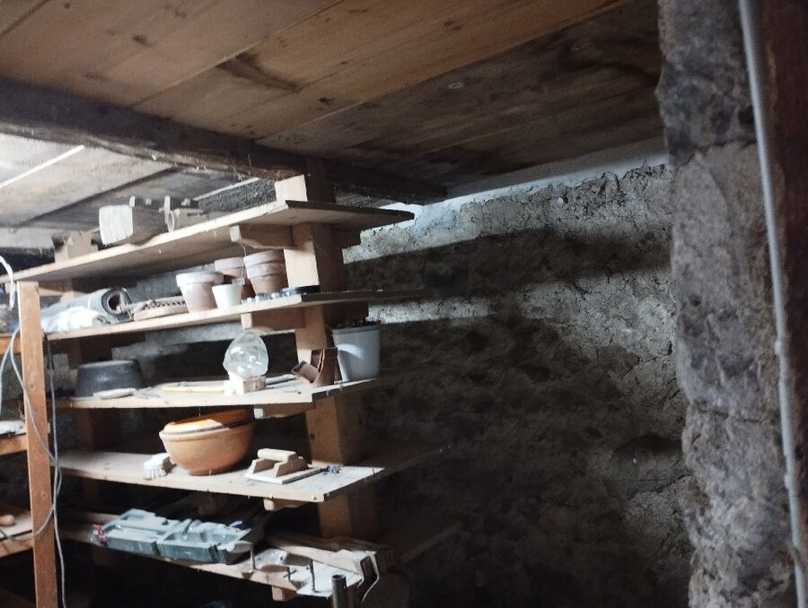 anti nuisibles a-Vinzel-Beratung.jpg