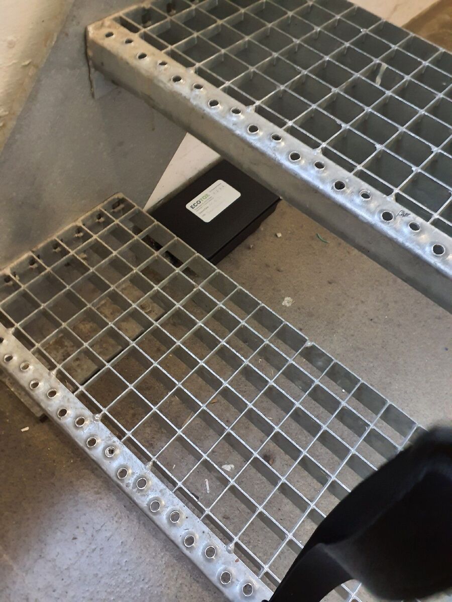 anti nuisibles a-Vuarrens-Beratung.jpg