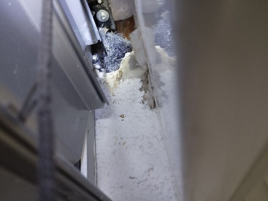 anti nuisibles a-Aigle-Beratung.jpg