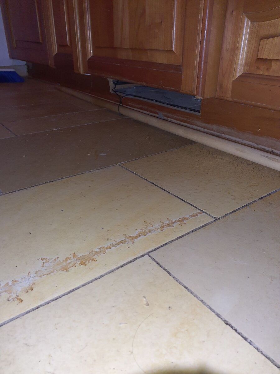 anti nuisibles a-Vufflens-le-Château-Beratung.jpg