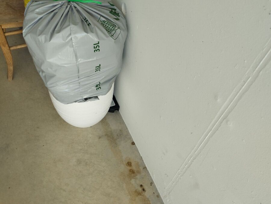 anti nuisibles a-Vernier-Beratung.jpg