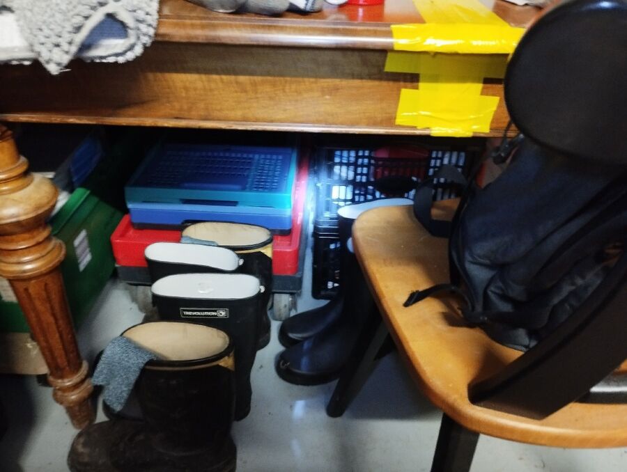 anti nuisibles a-Aubonne-Beratung.jpg