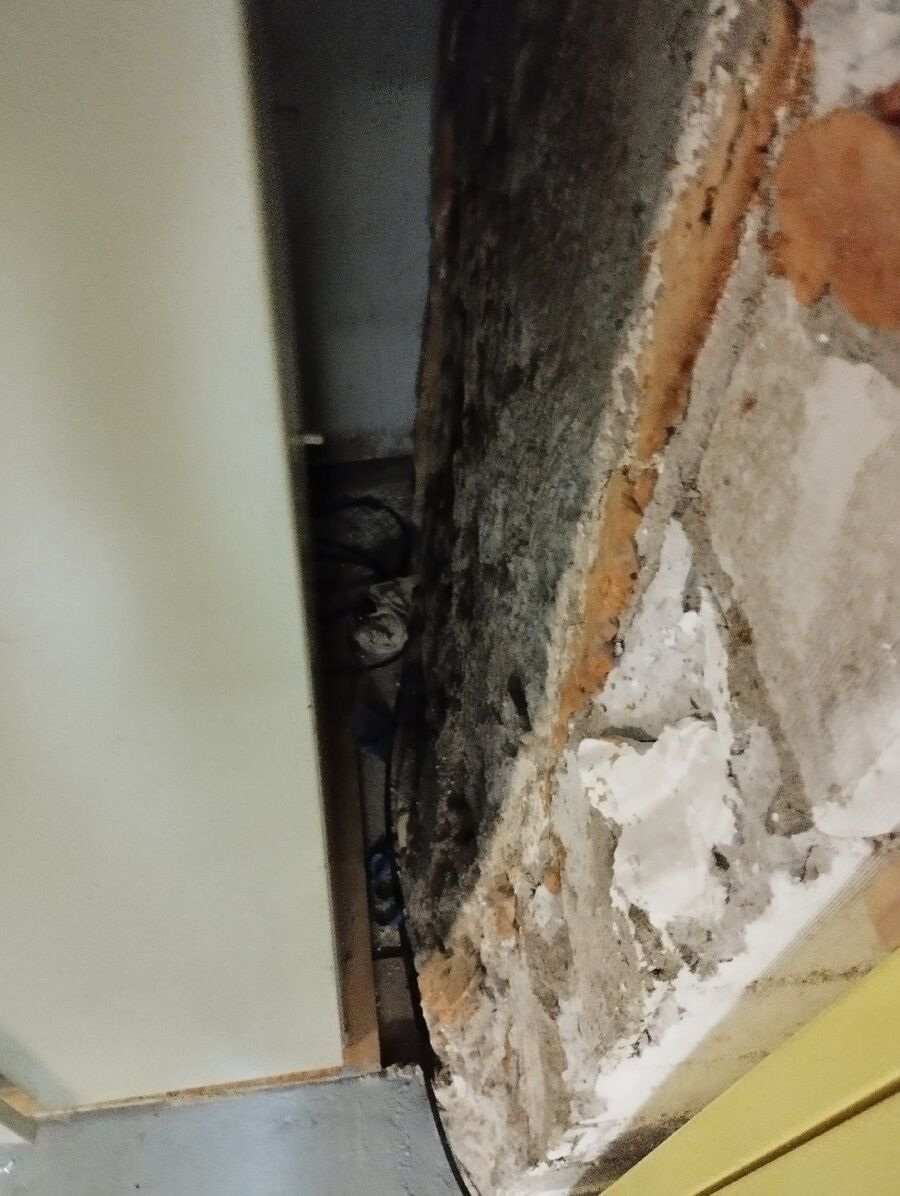 anti nuisibles a-Basse-Allaine-Beratung.jpg