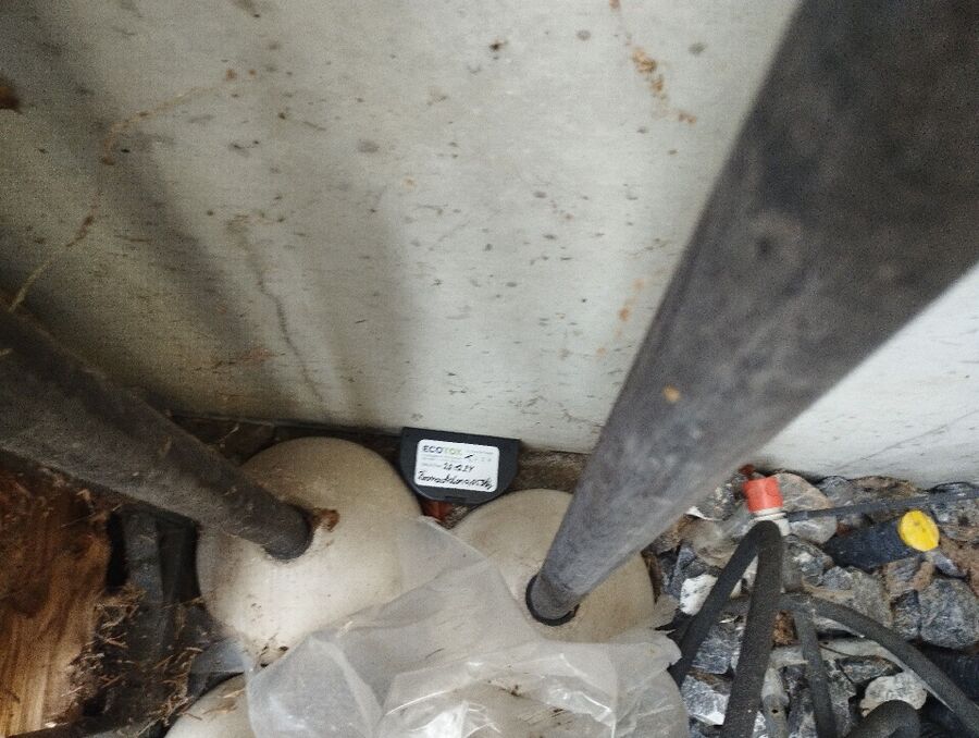 anti nuisibles a-Ballens-Beratung.jpg