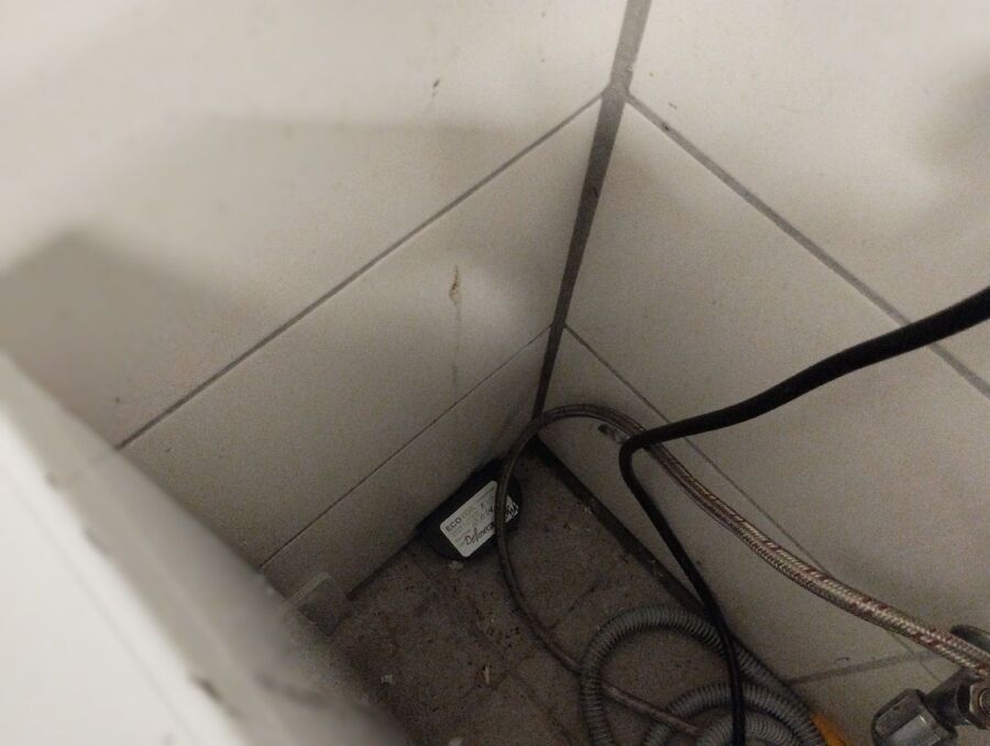 anti nuisibles a-Yvonand-Beratung.jpg