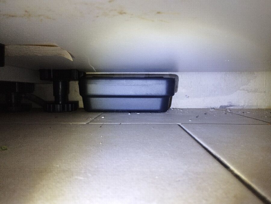 anti nuisibles a-Boncourt-Beratung.jpg