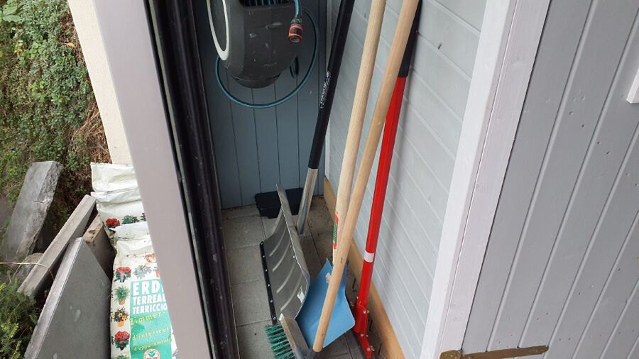 desinfestateur conseils sur place