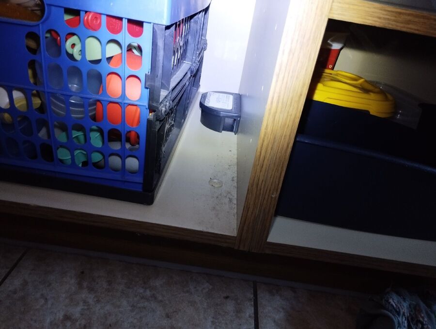 anti nuisibles a-Bure-Beratung.jpg