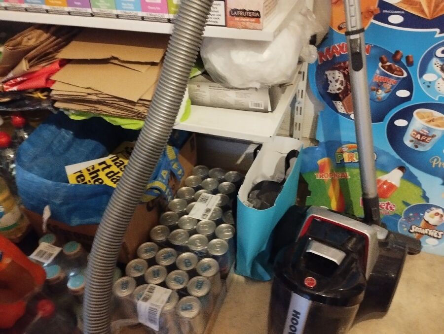 desinfestateur conseils sur place