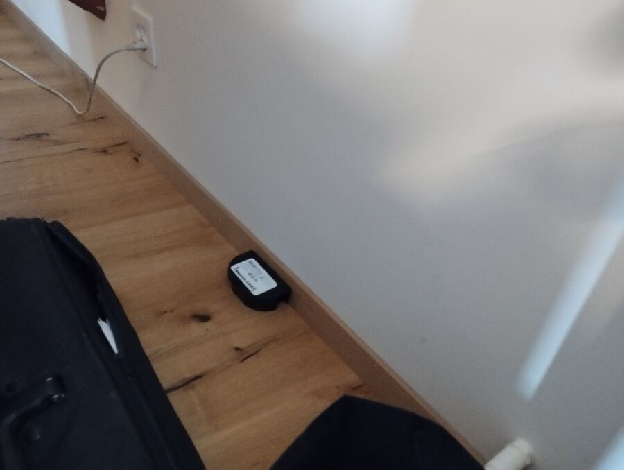 anti nuisibles a-Cornol-Beratung.jpg