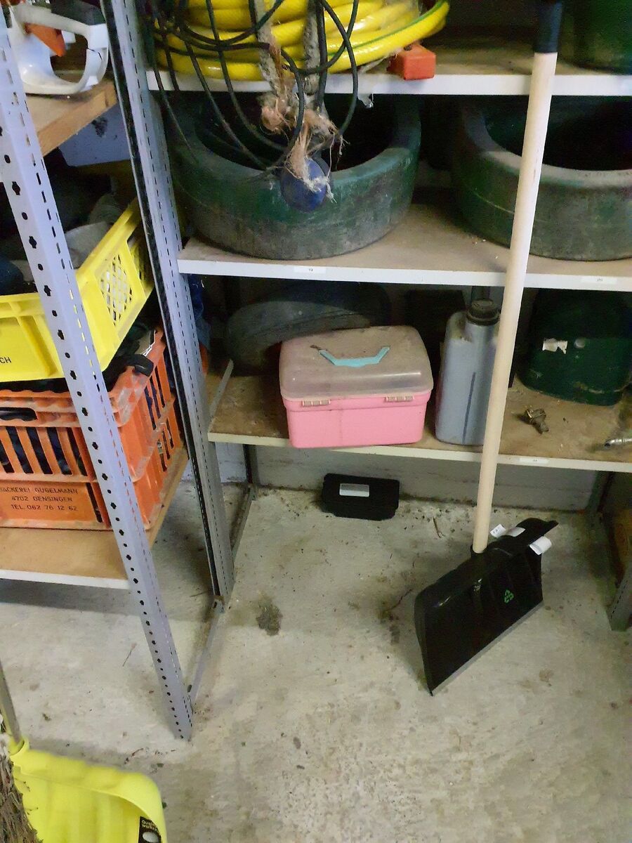 anti nuisibles a-Bex-Beratung.jpg