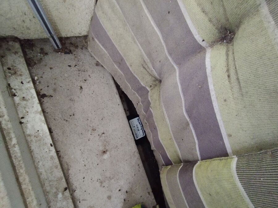 anti nuisibles a-Bière-Beratung.jpg