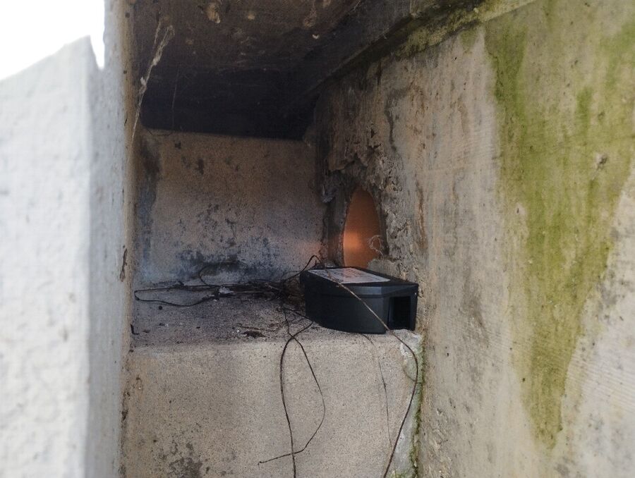 anti nuisibles a-Bofflens-Beratung.jpg