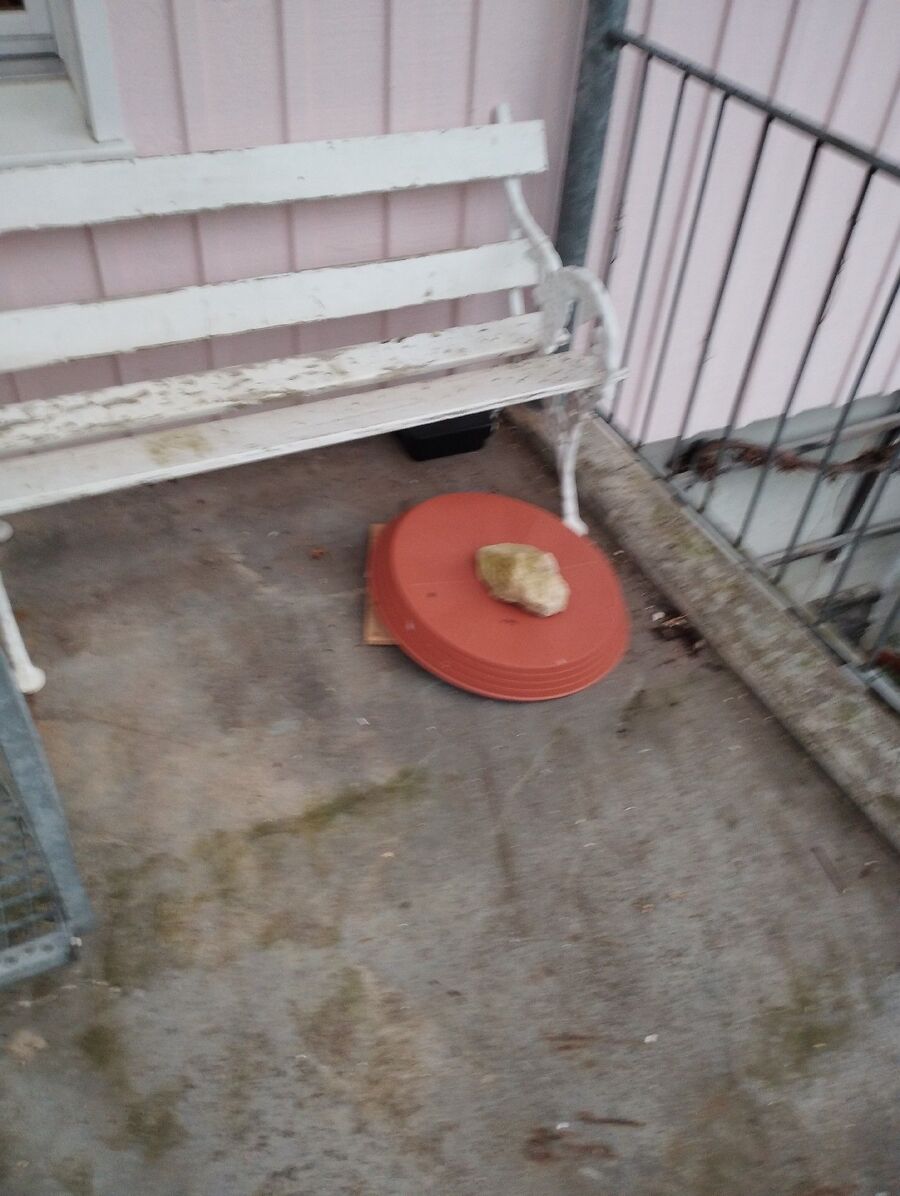 anti nuisibles a-Courtedoux-Beratung.jpg