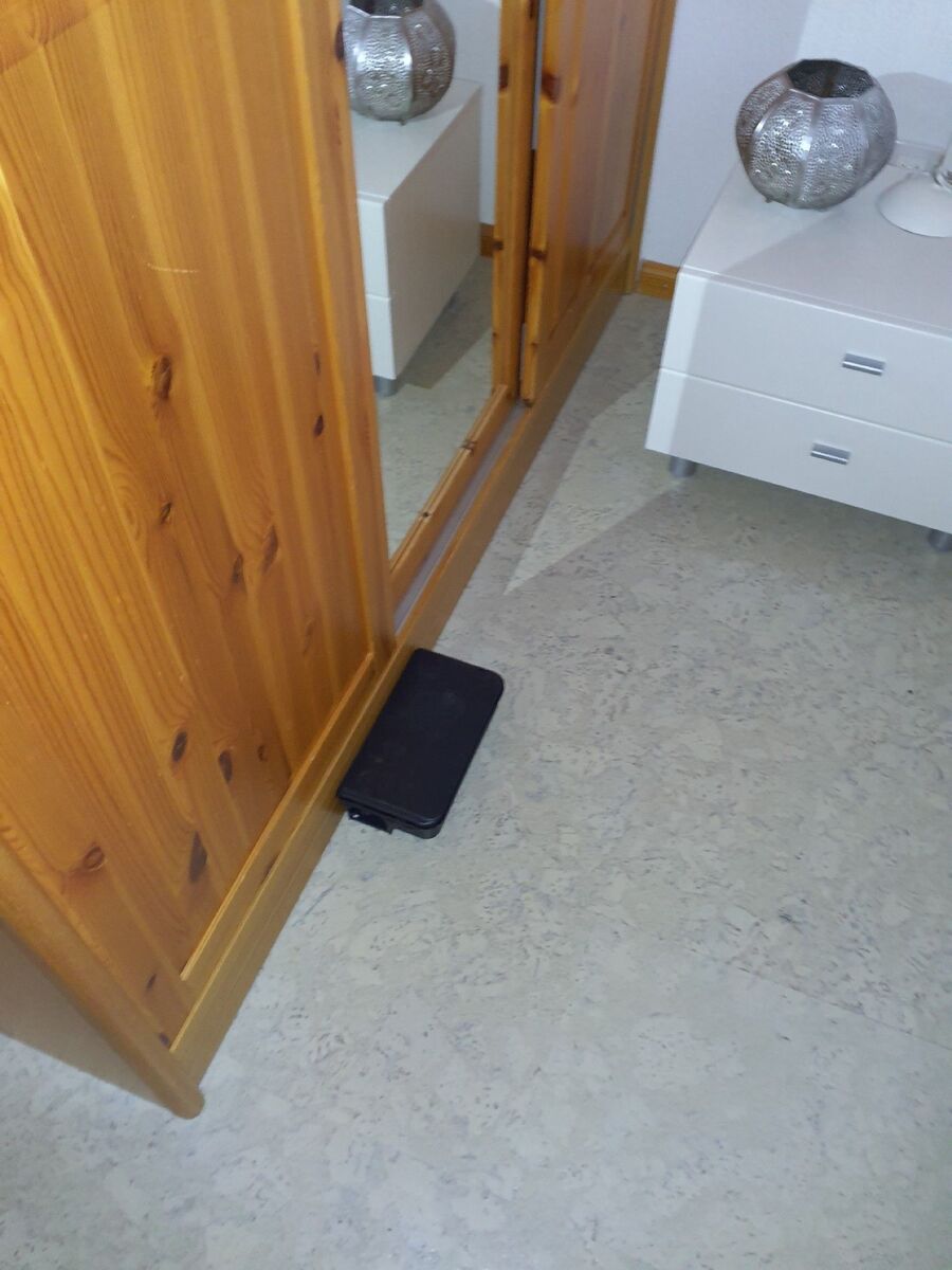 anti nuisibles a-Fahy-Beratung.jpg