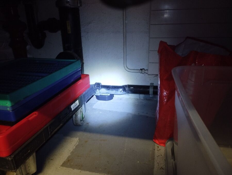 anti nuisibles a-Bremblens-Beratung.jpg