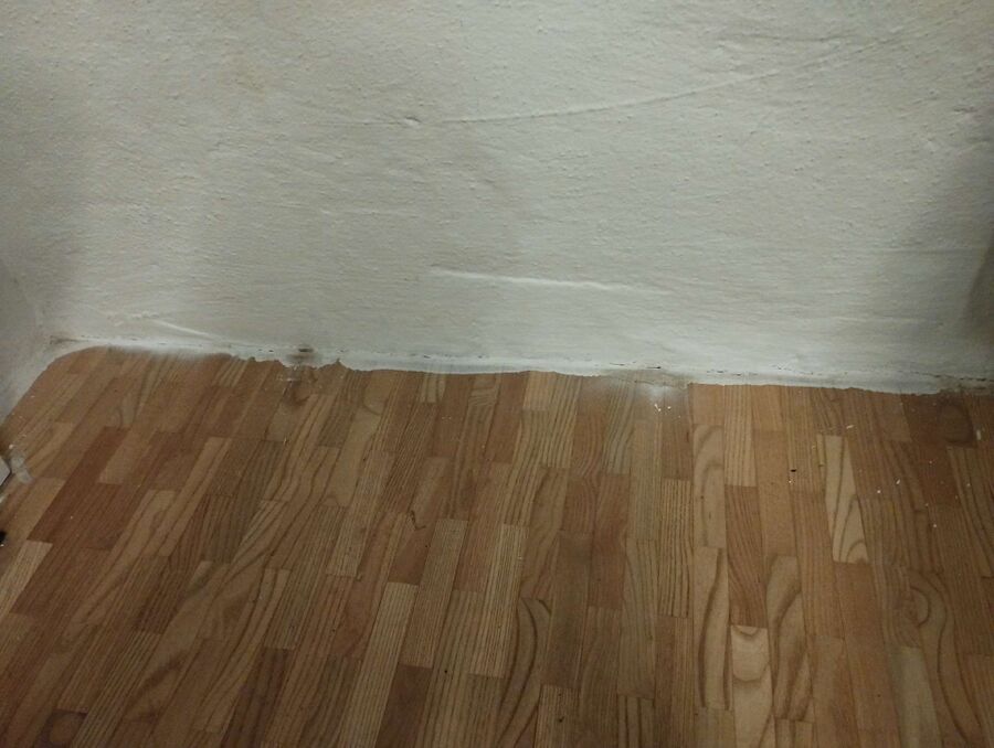 desinfestateur a-Düdingen-Inspektion.jpeg