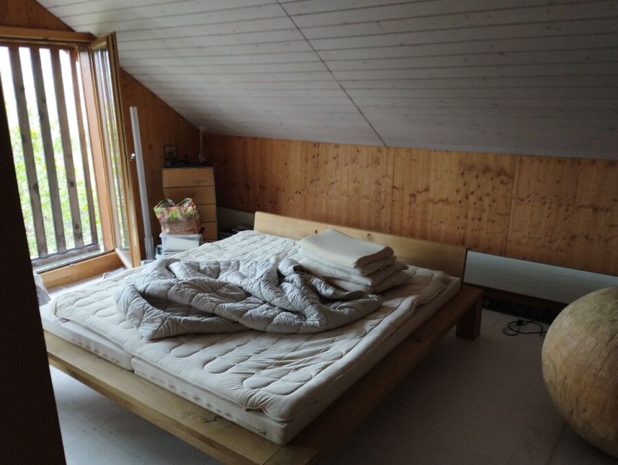 desinfestateur a-Arnex-sur-Nyon-Inspektion.jpeg