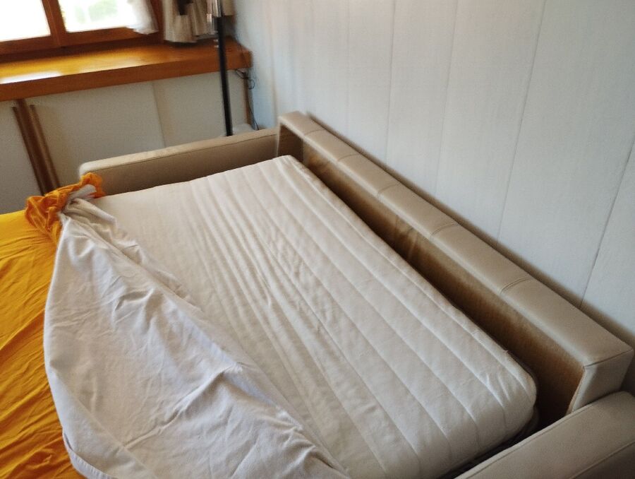 desinfestateur a-Villars-Sainte-Croix-Inspektion.jpeg