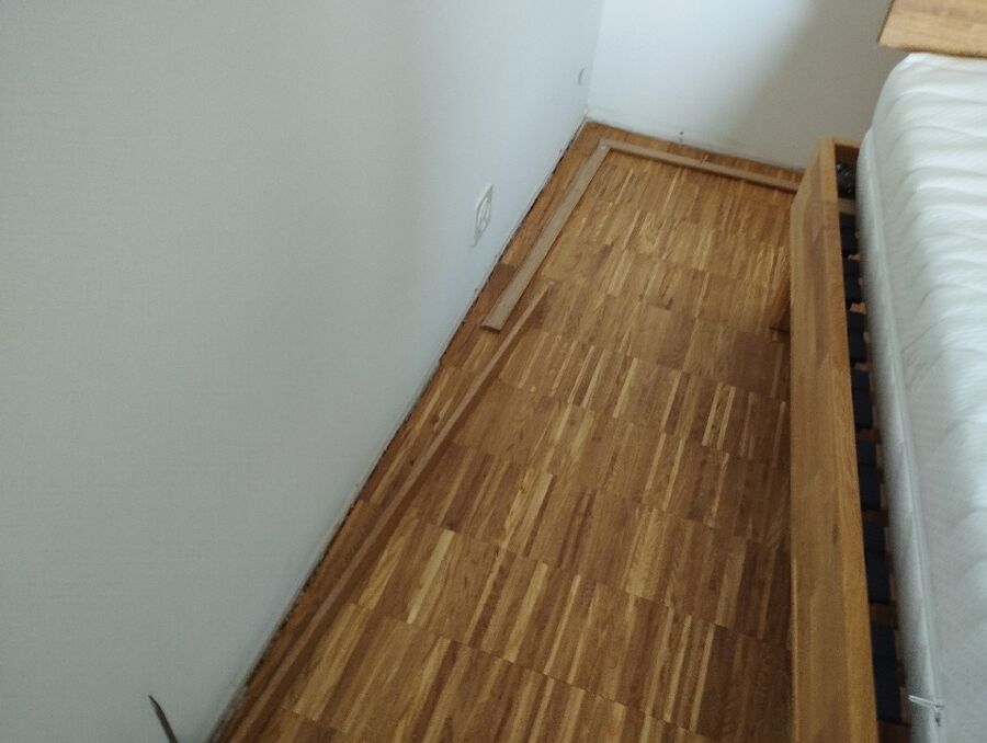 desinfestateur a-Giffers-Inspektion.jpeg