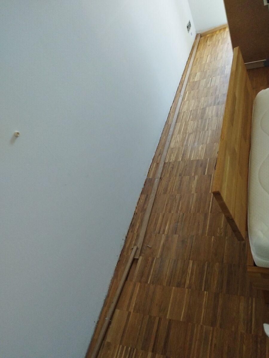 desinfestateur a-Belmont-sur-Yverdon-Inspektion.jpeg