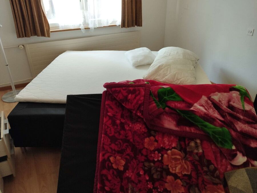 desinfestateur a-Bercher-Inspektion.jpeg