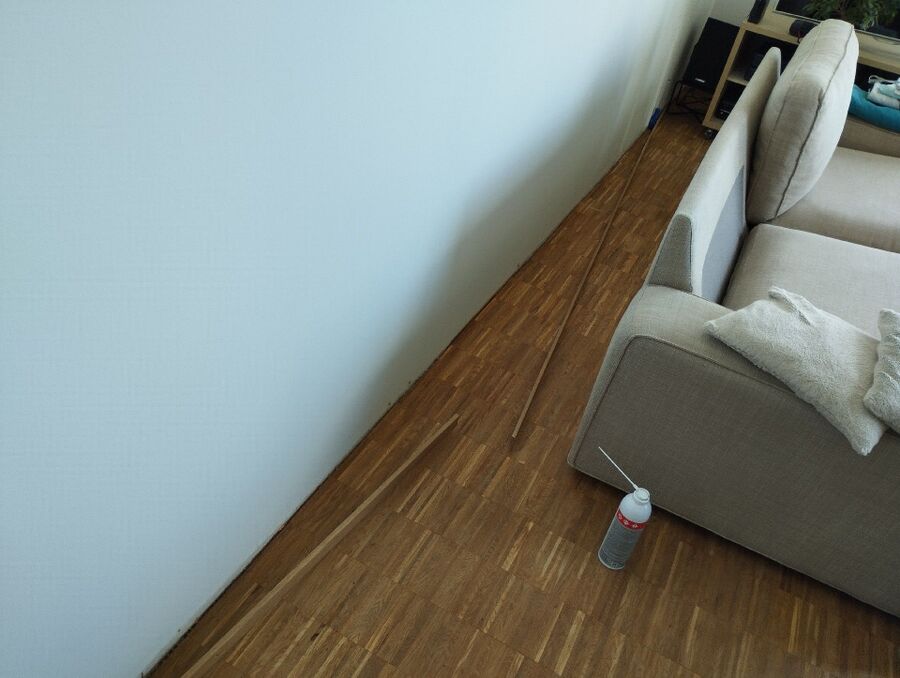 desinfestateur a-Vugelles-La Mothe-Inspektion.jpeg