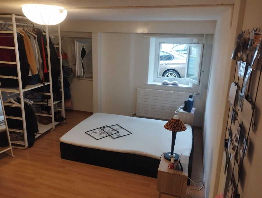 desinfestateur a-Bioley-Magnoux-Inspektion.jpeg