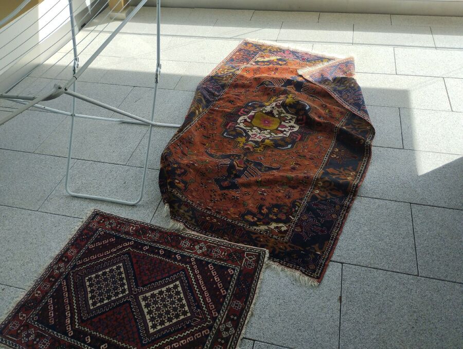 desinfestateur a-Soubey-Inspektion.jpeg