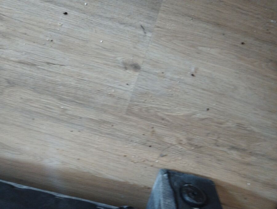 desinfestateur a-Yvorne-Inspektion.jpeg