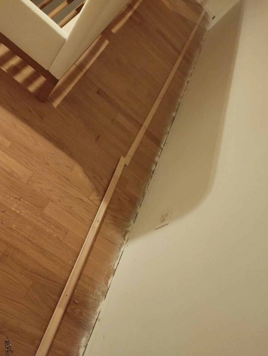 desinfestateur a-Borex-Inspektion.jpeg