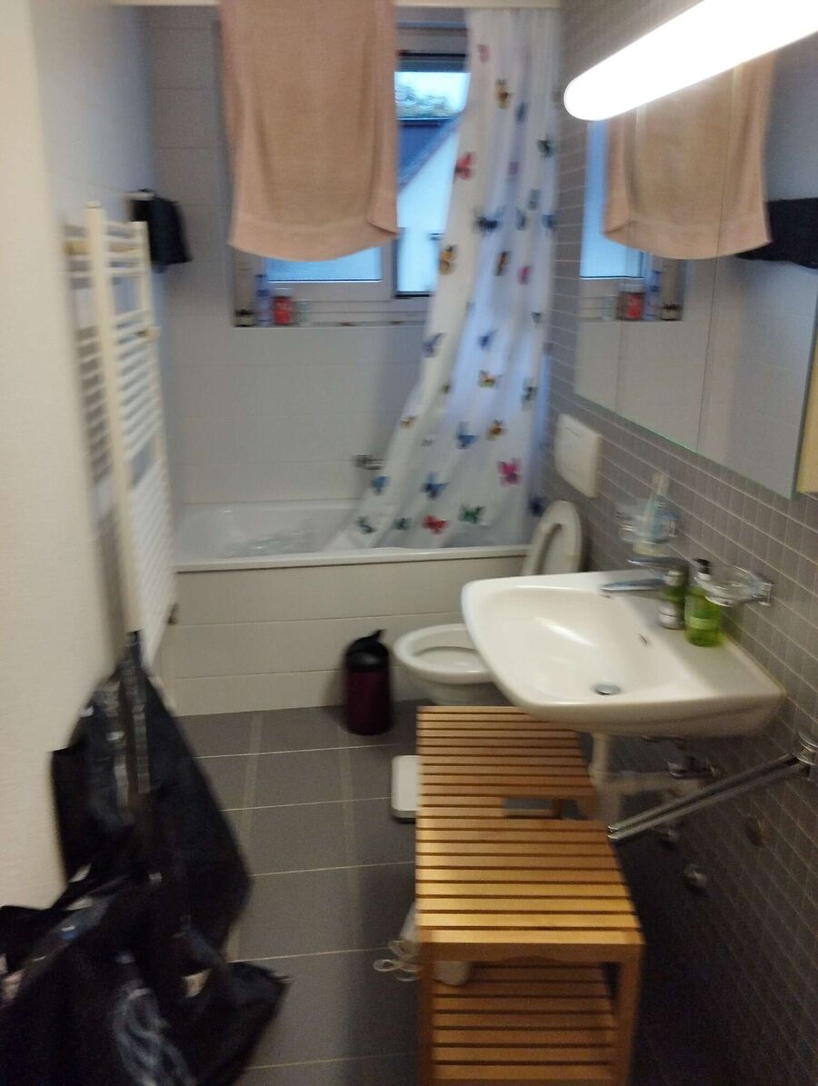 desinfestateur a-Vendlincourt-Inspektion.jpeg