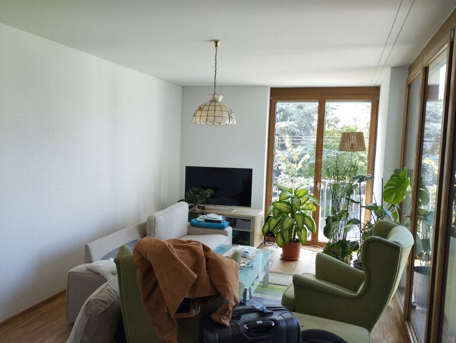 desinfestateur inspection 