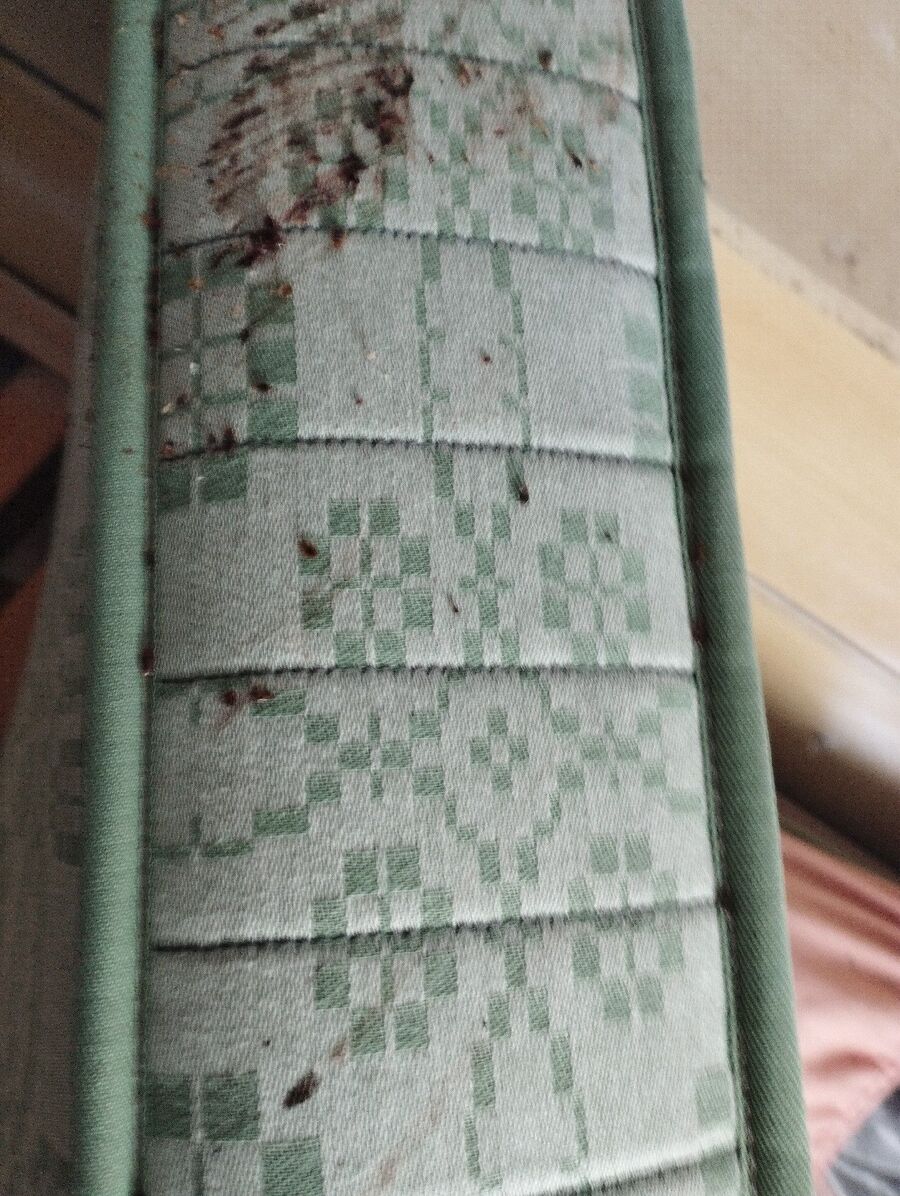 desinfestateur a-Anniviers-Inspektion.jpeg