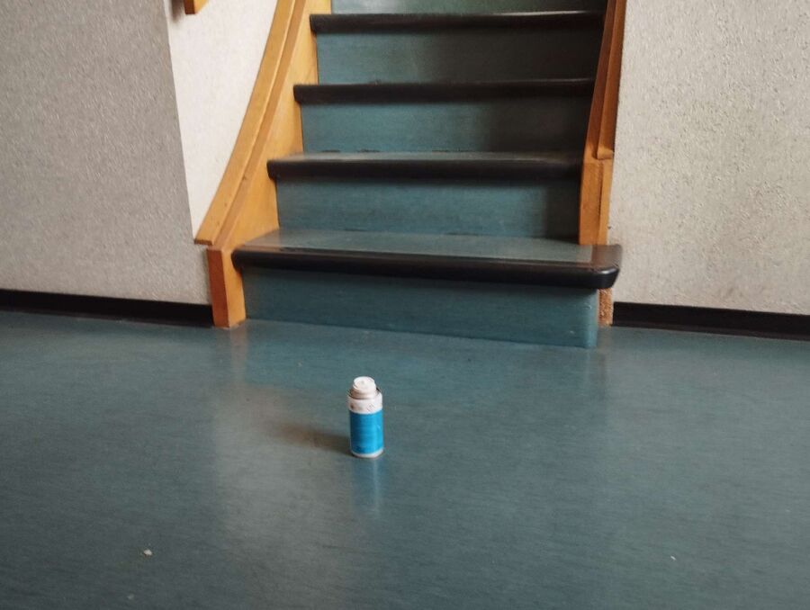 desinfestateur a-Bremblens-Inspektion.jpeg