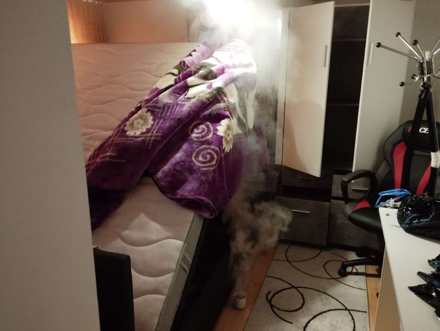 desinfestateur a-Bitsch-Inspektion.jpeg