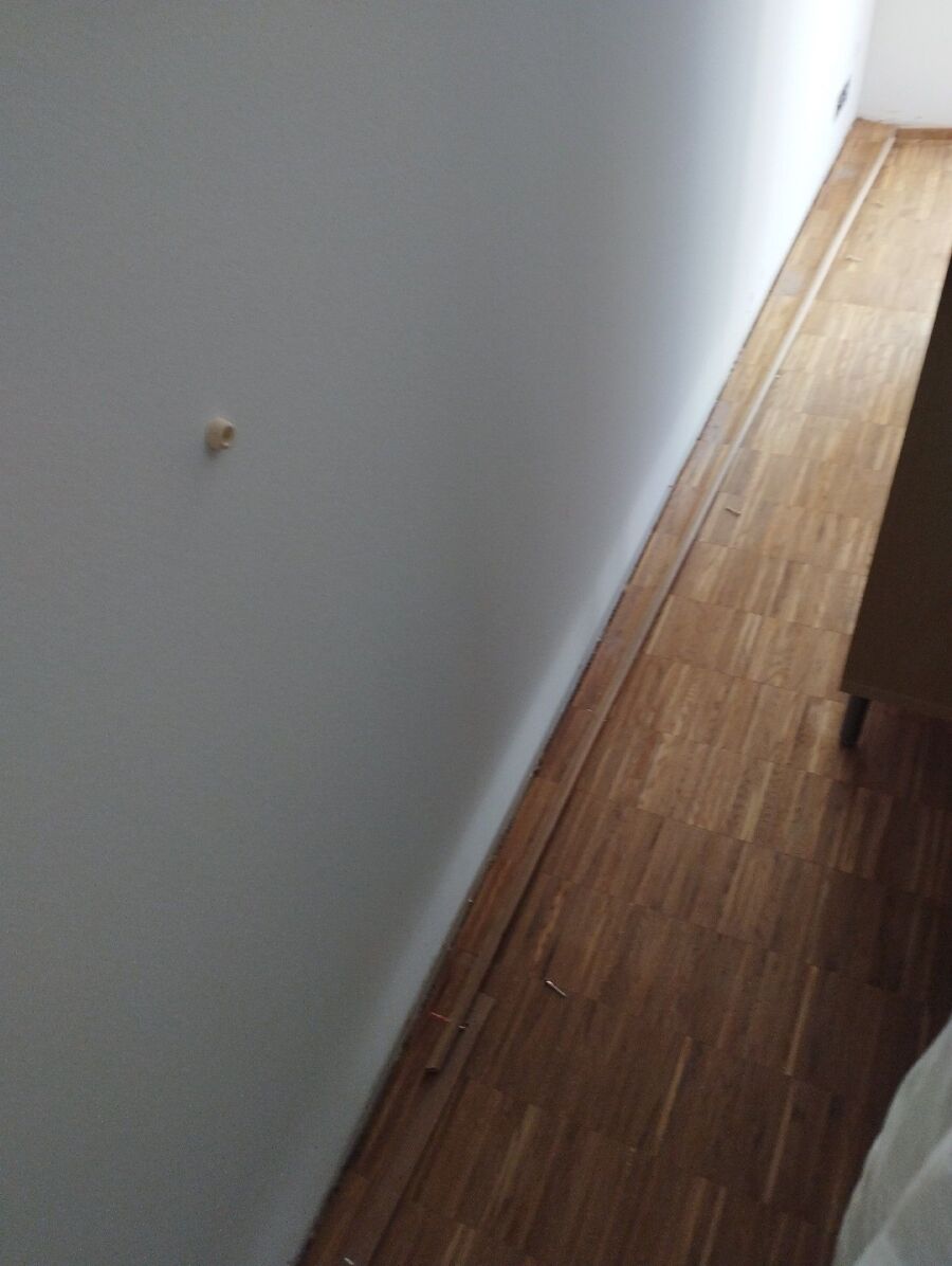 desinfestateur a-Bussy-sur-Moudon-Inspektion.jpeg