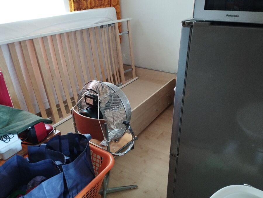 desinfestateur a-Bürchen-Inspektion.jpeg