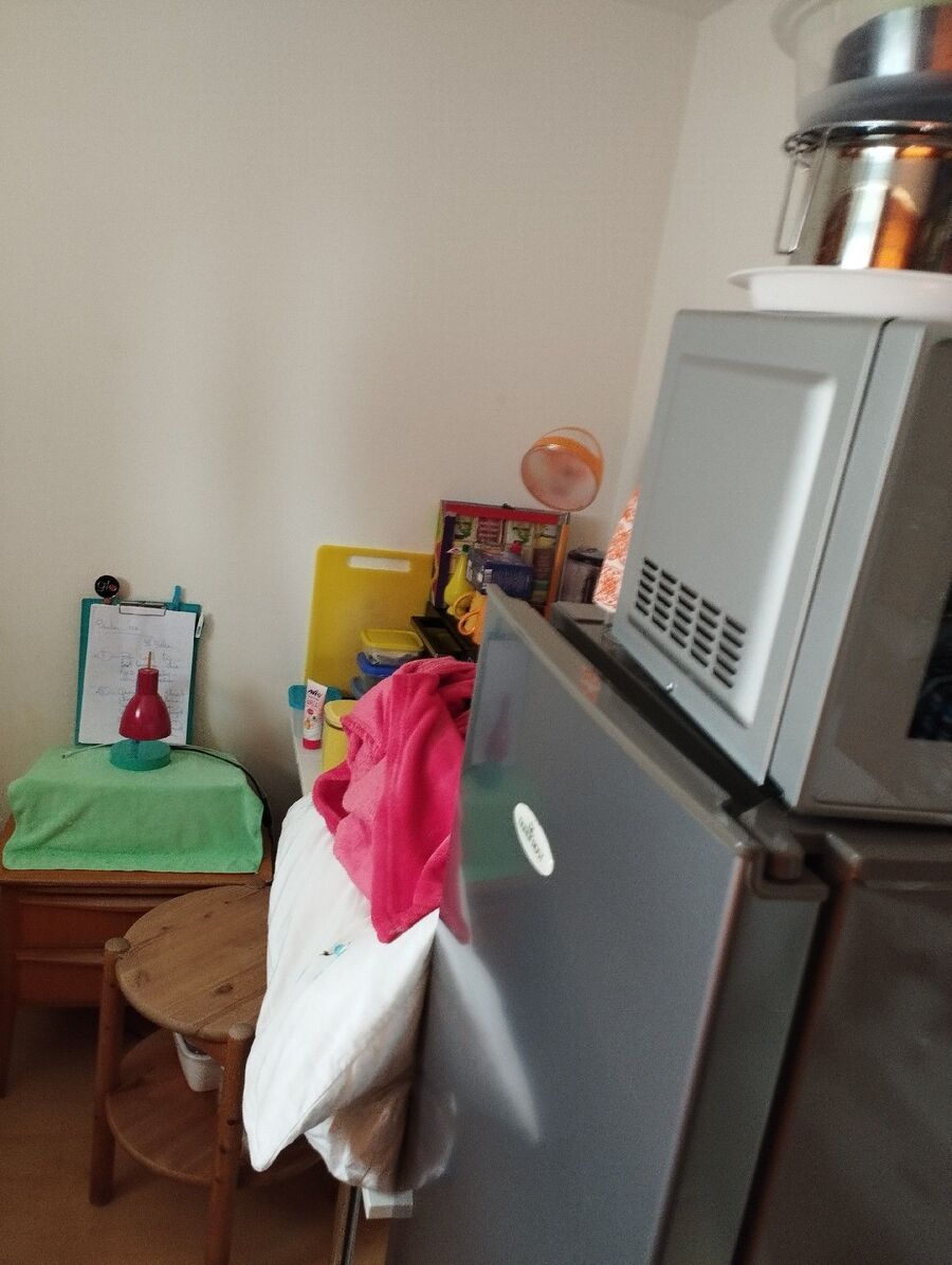 desinfestateur a-Champéry-Inspektion.jpeg